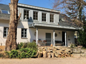 Ferienwohnung Weingut Villa Huesgen am Mönchhof